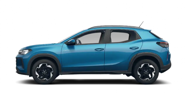 Volkswagen Tera